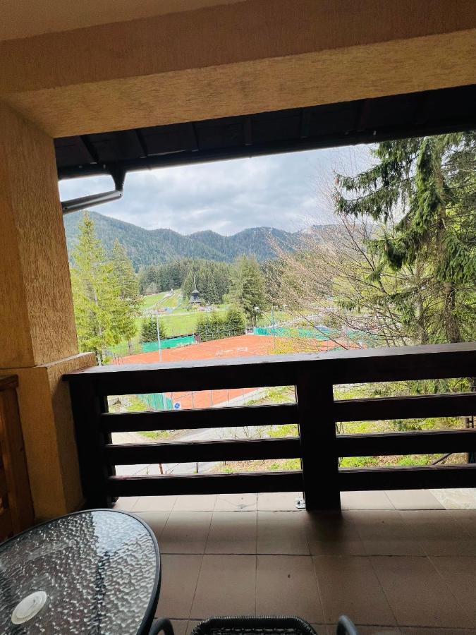Pensiunea Zimbrul Poiana Brasov Buitenkant foto