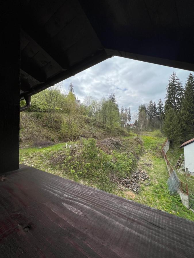 Pensiunea Zimbrul Poiana Brasov Buitenkant foto