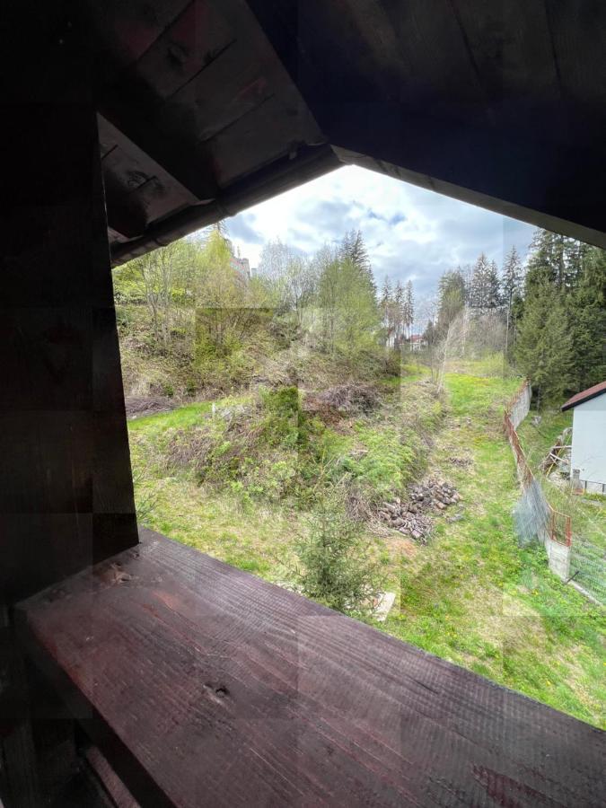 Pensiunea Zimbrul Poiana Brasov Buitenkant foto